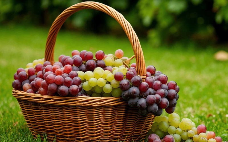 2 проверенных рецепта браги из винограда